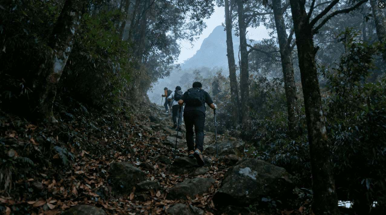 最新测试旋风专业版加速器iOS功能特色解析